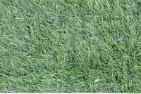 Photo Texture of Plastic Grass 0002
